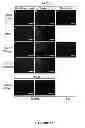 Fig. 22 - Peptide compounds and methods of production and use thereof