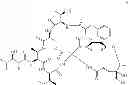 Fig. 07 - Antibacterial agents: salinamide derivatives