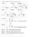 Fig. 06 - N-TERMINUS CONFORMATIONALLY CONSTRAINED GLP-1 RECEPTOR AGONIST COMPOUNDS