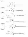 Fig. 09 - N-TERMINUS CONFORMATIONALLY CONSTRAINED GLP-1 RECEPTOR AGONIST COMPOUNDS