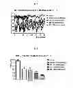 Fig. 05 - Glucose dependent insulinotropic polypeptide analogs, pharmaceutical compositions and use thereof