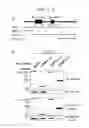 Fig. 02 - ERAP1-derived peptide and use thereof