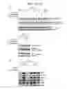 Fig. 30 - ERAP1-derived peptide and use thereof