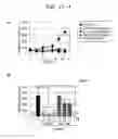 Fig. 32 - ERAP1-derived peptide and use thereof