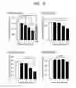 Fig. 40 - ERAP1-derived peptide and use thereof