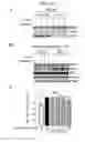 Fig. 45 - ERAP1-derived peptide and use thereof