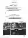 Fig. 49 - ERAP1-derived peptide and use thereof