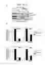 Fig. 50 - ERAP1-derived peptide and use thereof