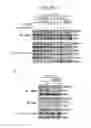 Fig. 53 - ERAP1-derived peptide and use thereof