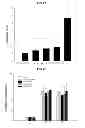 Fig. 05 - Use of inhalable powder formulation comprising growth hormone for preventing or treating NMDA receptor hypofunction-related diseases