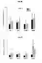 Fig. 08 - Use of inhalable powder formulation comprising growth hormone for preventing or treating NMDA receptor hypofunction-related diseases