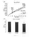 Fig. 02 - METHOD FOR SCREENING OF AGENT FOR TREATING OR PREVENTING OBESITY