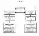 Fig. 04 - METHODS FOR MODULATION OF PHOSPHORUS AND FGF23