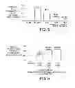Fig. 07 - Compositions and methods for the production of pyrimidine and pyridine compounds with BTK inhibitory activity
