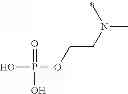 Fig. 79 - Phosphonoxy quinazoline derivatives and their pharmaceutical use