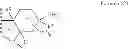 Fig. 12 - Heterocyclic nuclear hormone receptor modulators