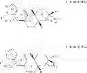 Fig. 16 - Heterocyclic nuclear hormone receptor modulators