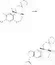 Fig. 176 - Heterocyclic nuclear hormone receptor modulators