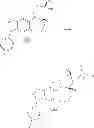 Fig. 243 - Heterocyclic nuclear hormone receptor modulators