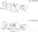 Fig. 265 - Heterocyclic nuclear hormone receptor modulators