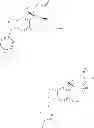 Fig. 35 - Heterocyclic nuclear hormone receptor modulators