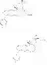 Fig. 40 - Heterocyclic nuclear hormone receptor modulators