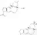 Fig. 64 - Heterocyclic nuclear hormone receptor modulators