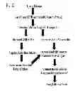 Fig. 13 - Methods for treatment of thiol-containing compound deficient conditions