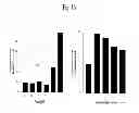 Fig. 17 - Methods for treatment of thiol-containing compound deficient conditions