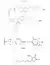 Fig. 04 - Modulators of development of adipocyte and cancer cells