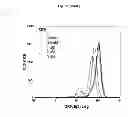 Fig. 22 - Modulators of development of adipocyte and cancer cells