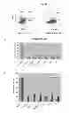 Fig. 43 - Modulators of development of adipocyte and cancer cells