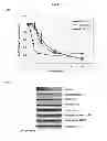 Fig. 45 - Modulators of development of adipocyte and cancer cells
