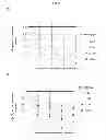 Fig. 48 - Modulators of development of adipocyte and cancer cells