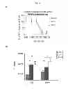 Fig. 52 - Modulators of development of adipocyte and cancer cells