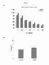 Fig. 68 - Modulators of development of adipocyte and cancer cells