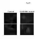 Fig. 69 - Modulators of development of adipocyte and cancer cells