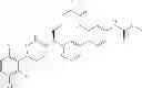 Fig. 124 - Cyclic P1 linkers as factor XIa inhibitors