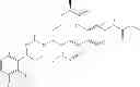 Fig. 141 - Cyclic P1 linkers as factor XIa inhibitors
