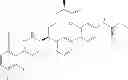 Fig. 145 - Cyclic P1 linkers as factor XIa inhibitors