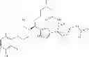 Fig. 237 - Cyclic P1 linkers as factor XIa inhibitors