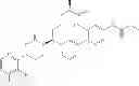 Fig. 239 - Cyclic P1 linkers as factor XIa inhibitors