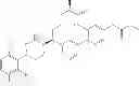 Fig. 245 - Cyclic P1 linkers as factor XIa inhibitors
