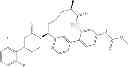 Fig. 264 - Cyclic P1 linkers as factor XIa inhibitors