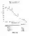 Fig. 04 - SirT INHIBITORS THAT BIND TO NAD