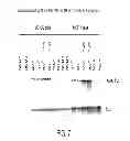 Fig. 09 - SirT INHIBITORS THAT BIND TO NAD