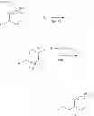 Fig. 17 - Carbamate/urea derivatives