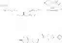 Fig. 31 - Carbamate/urea derivatives