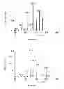 Fig. 07 - Small molecule xanthine oxidase inhibitors and methods of use