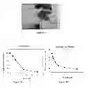 Fig. 13 - Small molecule xanthine oxidase inhibitors and methods of use